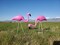 Fun Express Mini Pink Flamingo Lawn Ornaments (2 Pieces, 8" with 12" Stakes) Lawn Decor, Unique and Quirky Home Decor & Gifts, Party Decorations